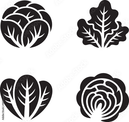 Set of Salad Lettuce silhouette vector illustration isolated On Transparent Background