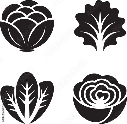 Set of Salad Lettuce silhouette vector illustration isolated On Transparent Background