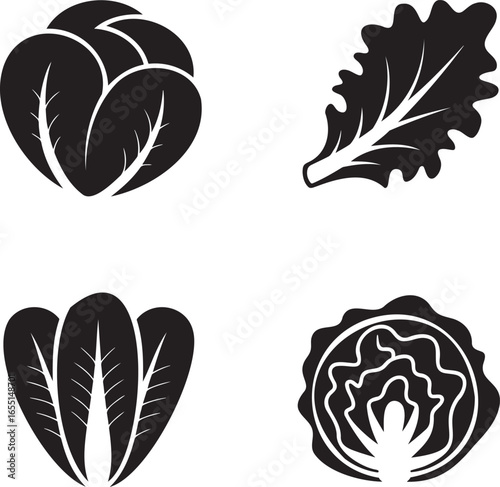 Set of Salad Lettuce silhouette vector illustration isolated On Transparent Background