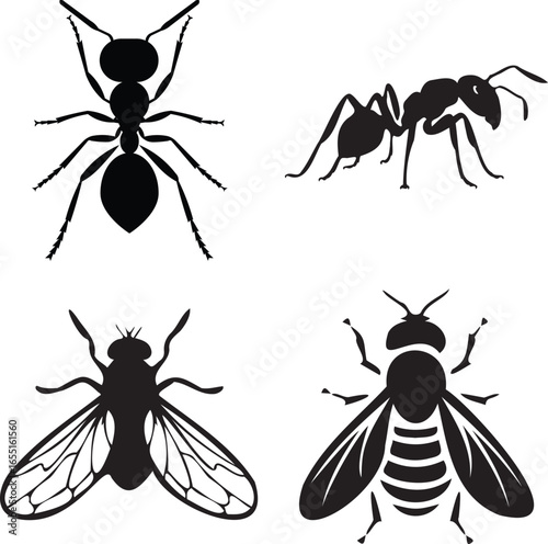 Set of insect silhouette vector illustrations featuring ants and flies in black design. Perfect for logos, icons, nature graphics, entomology projects, and pest control design elements.