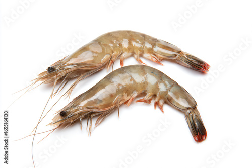 two shrimps are shown on a white surface