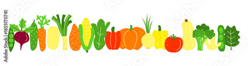 Group of cute hand drawn flat vegetables isolated on white background. Horizontal banner with veggies. Healthy nutrition concept.