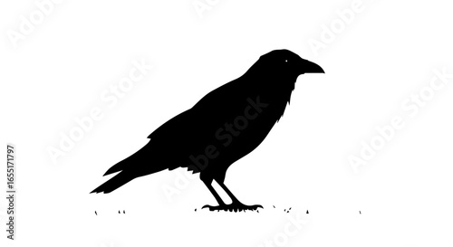 Minimalist black silhouette of a standing crow or raven in profile view.