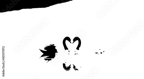 Minimalist black silhouette of two swans forming a heart shape with their necks with reflections.