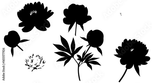 Set of black peony silhouettes including blooming flowers buds and leaves in a graphic minimalist style.