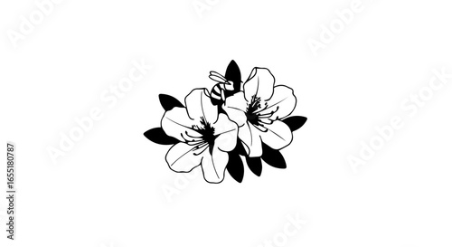 Stylized black and white illustration of a bee pollinating blooming azalea flowers with dark leaves.