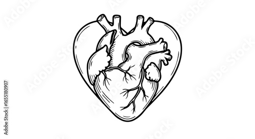 Stylized black and white line drawing of an anatomical human heart inside a classic heart symbol.