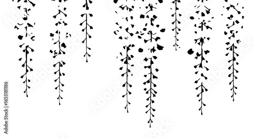 Stylized black hanging wisteria plant silhouettes with delicate cascading leaves and branches.