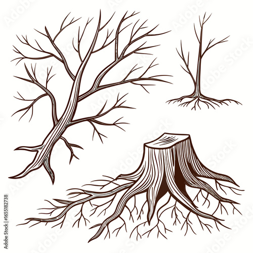 Various brown tree or shrub roots. Parts of plant, root system with tree stump. Dendrology, study of woody plants. Sketch drawing. Vector illustration