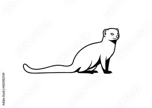 A minimalist line drawing of a stoat, a small mammal, showcasing its sleek form in black and white.