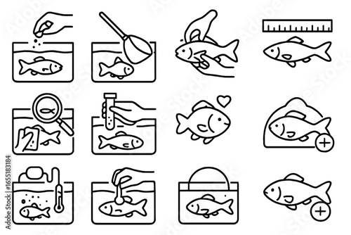 Aquaponic Fish Care Icons. Line style icons of aquaponic fish care: feeding fish, net transfer, checking fins, measuring fish,