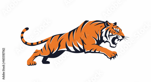 tiger on white background