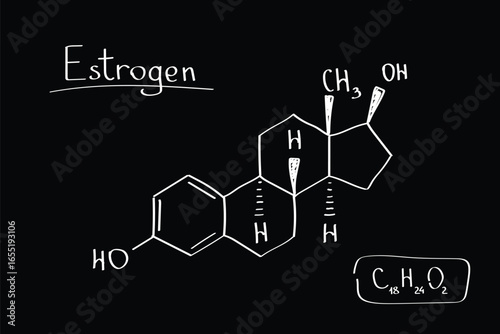 Estrogen Molecule Structure Illustration – Female Hormone Chalkboard Sketch