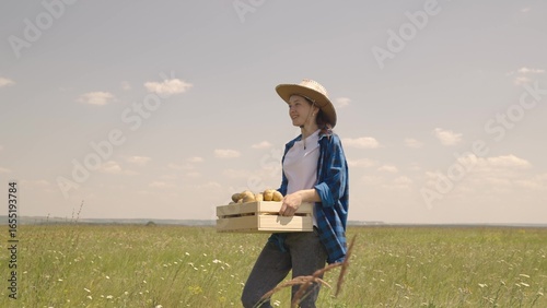 Foto farmer walks across the field with a box of ripe potatoes, harvest time of vegetables in the soil of the soil, agriculture, dug out potatoes, ingredient for preparing recipe for food, agronomic field
