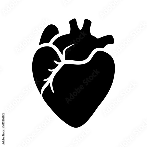 Vector art of anatomical heart organ icon