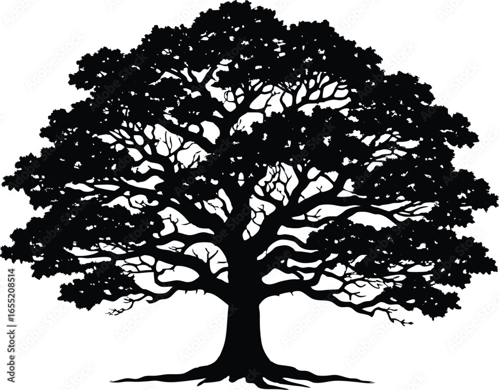 Obraz premium Ancient Oak Tree Silhouette | Old Oak Tree Outline Design