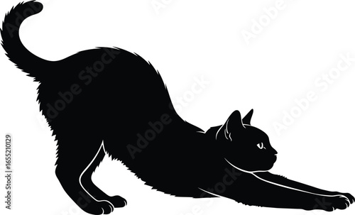 Black silhouette of a cat stretching its body on a white background yoga feline