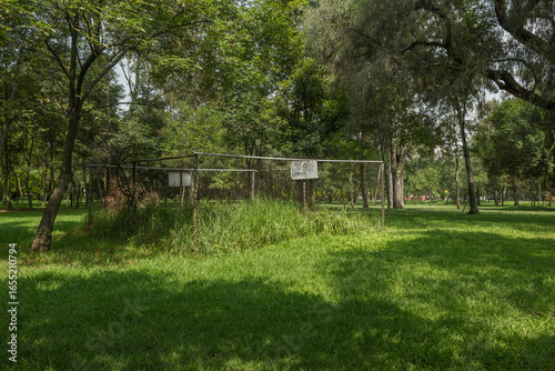 Cuadro en lienzo Estructura metálica abandonada de malla ciclónica cubierta de maleza en medio de un parque verde arbolado