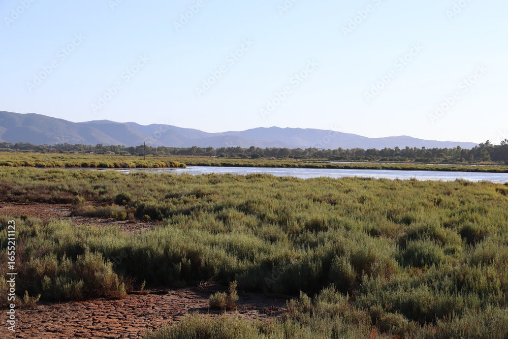 Obraz premium View of Orbetello Lagoon, province of Grosseto. WWF protected area, Tuscany, Italy