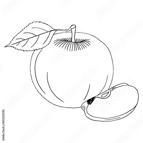 Vintage-style sketch. Apple slice and whole apple. Collection of design elements. Black fruits on a white background