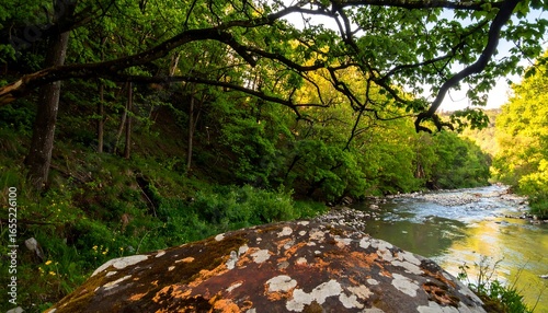 A tranquil forest stream winds through a lush green woodland, dappled light filtering through the canopy above a rocky riverbank.