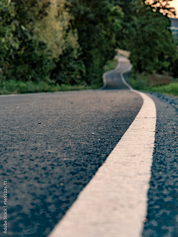 Obraz premium asphalt road in the park