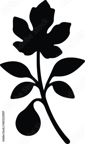 Vector Illustrator Fig Plant Branch Leaf and Fruit Silhouette