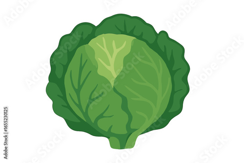 Minimalist vector illustration of bok choy, a simple icon of green leafy vegetable, representing healthy Asian food design