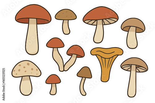 Shiitake, a type of Asian mushroom, is a tasty ingredient that can be used in various forms, including half, piece, or whole mushrooms