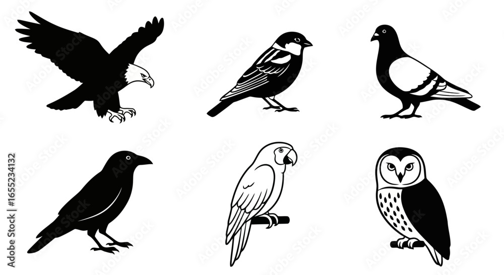 Fototapeta premium Diverse Bird Species Lineup Black and White Vector Illustration for Wildlife Education, Ornithology Studies, and Avian-themed Design Projects
