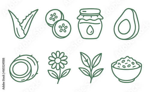 Linear skincare icon set with aloe, cucumber, honey, avocado, coconut, flower, leaves, oats