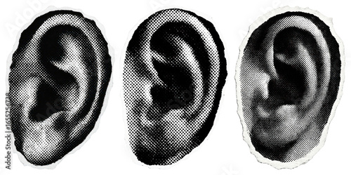 Vintage ears artistic illustration
