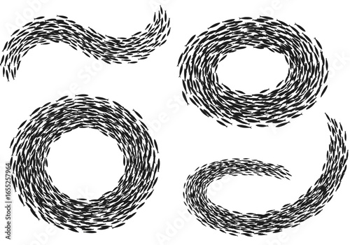 Abstract Representations of Swarming Behavior in Schooling Fish and Biomass Movement Patterns