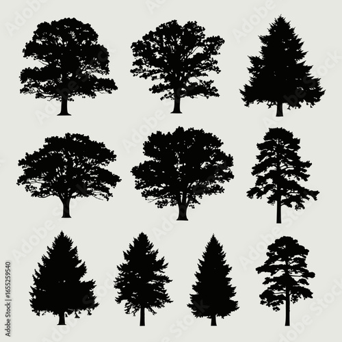 Collection of Black Silhouettes of Various Deciduous and Coniferous Trees on a Light Background