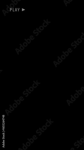 Old VHS Play Overlay, VCR Texture Noise Grain