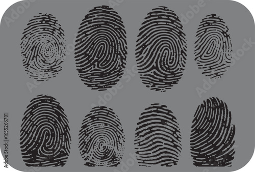 Collection of eight distinct fingerprints showcasing unique patterns and ridges presented on a neutral gray background for forensic and identification purposes