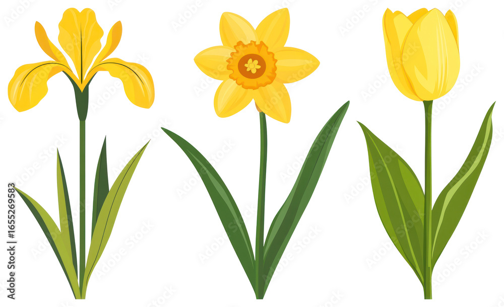 custom made wallpaper toronto digitalPNG Vibrant yellow spring flowers, element set on transparent background