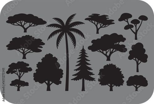 Collection of diverse tree silhouettes including palm trees deciduous trees and coniferous trees isolated on a gray background representing nature and botanical elements