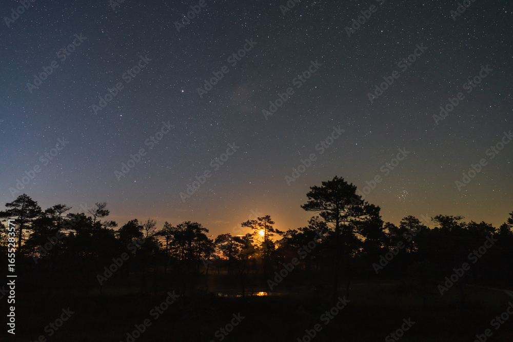 Naklejka premium Magical night sky full of stars and a rising moon over a silhouetted pine forest in an Estonian bog.