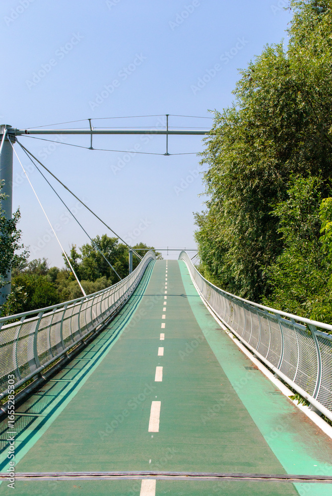 Obraz premium Modern pedestrian and bicycle bridge in a park on a sunny day