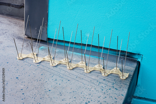 Plastic bird deterrent strip with metal spikes on black floor