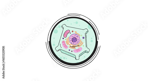 Stylized representation of a plant cell within a circular frame depicting cellular components in a simplified manner suitable for educational purposes