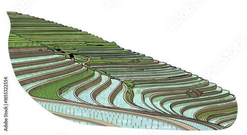 Intricate Line Art Illustration Depicting a Multi-Tiered Rice Paddy System on a Hillside Farming Landscape