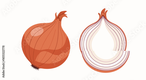 Illustrated depiction of a whole brown onion and a cross-sectional slice on a clean background