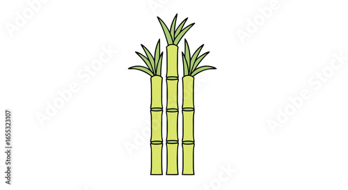 Botanical depiction: Three stalks of sugarcane displaying segmented stalks and verdant green leaf clusters reaching skyward