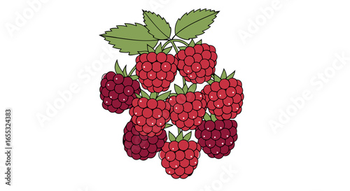 Artistic Depiction of Ripe Raspberries with Vibrant Coloration and Leafy Accents in Graphic Style