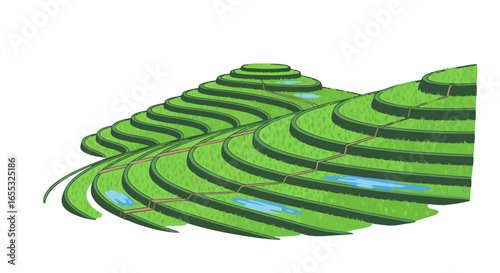 Lush Green Terraced Rice Fields Agriculture Scenic Landscape Illustration Design Farming Ecosystem Depiction of Agricultural Land with Terraces and