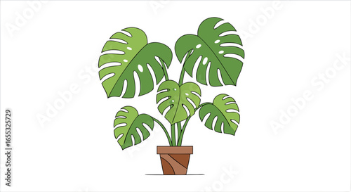 Illustrated Monstera Deliciosa Plant in a Pot, Cartoon Style Botanical Illustration, Modern Houseplant Decoration, Green Leaves and Elegant Structure