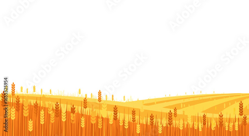 Minimalistic countryside illustration, golden wheat field under a clear white sky offers serenity and natural beauty vector background, isolated