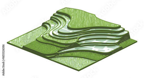 Stylized Vector Illustration of Rice Terraces in Shades of Green, Depicting Sustainable Agriculture and Land Use Planning Methods